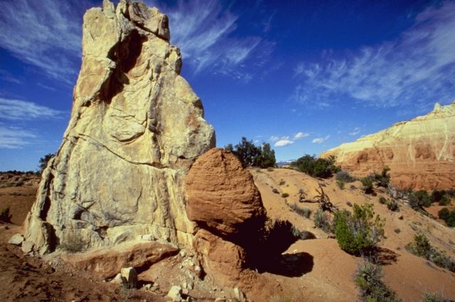 Anza-Borrego Desert State Park - Borrego Springs, California