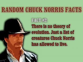 Chuck Norris Facts-8de6c_chuck-norris-evolution.jpg