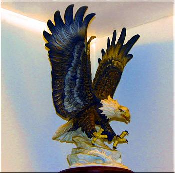 Art Collecting-american-bald-eagle-.jpg