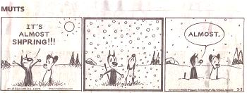 comic strips this winter-mutts-3-3-14.jpg