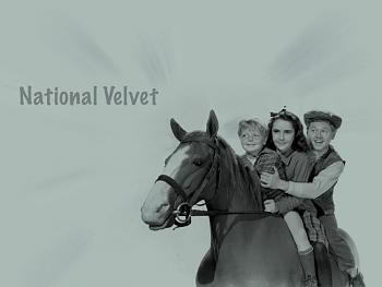 National Velvet is gone-national-velvet-elizabeth-taylor.jpg