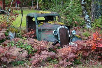 Old Trucks-old-rusty-truck-i-c1000-mary-gaines.jpg