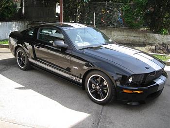 Post your rides-shelby-gt-resized.jpg