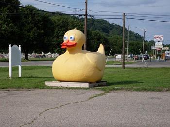 September Picture of the Month Contest-giant-duck-1.jpg