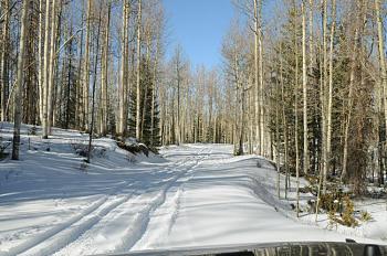 Colorado Winter- Pictures-dsc_0781-small-1.jpg