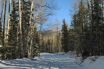 Colorado Winter- Pictures-dsc_0783a-small.jpg