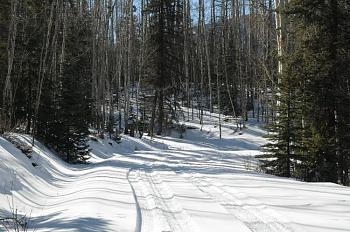 Colorado Winter- Pictures-dsc_0787-small.jpg