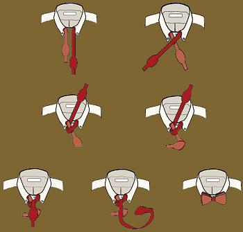 Black Tie Optional-bow-tie-knot.jpg