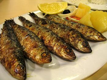 Sardines-fishies-1.jpg