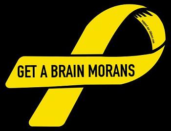 99%-ribbon-magnet-sticker-get-brain-morans.jpg