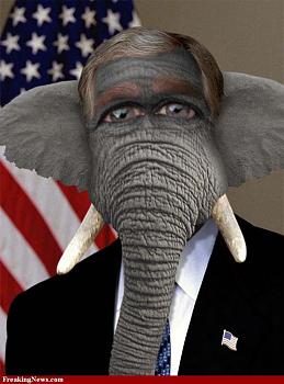 NBC confirms Cain accuser received cash settlement-george-w-bush-elephant-23657.jpg