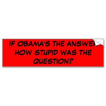 Funny Political Cartoons and Memes-if_obamas_the_answer_how_stupid_was_the_question_bumper_sticker-r81b9d12ff60440c08f6480a6dcfac9f.jpg
