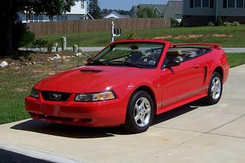 Post Pics of Your Ride-mustang.jpg