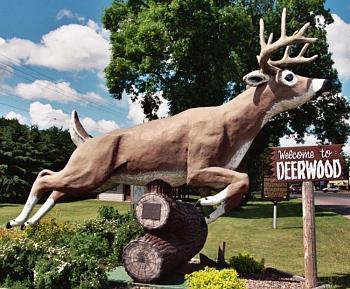 A Night Out on CityProfile - Photo Contest-deerwood.jpg