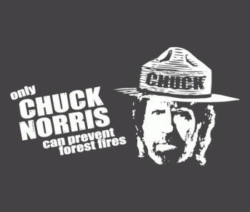 Chuck Norris-chuck-noris-prevents-fires-1-.gif