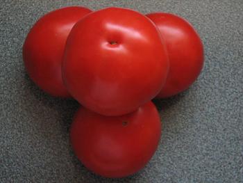 random pictures from your camera-famous-hanover-tomatoes.jpg