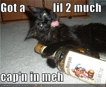 Funny stupid picture thread-lolcat-booze.jpg