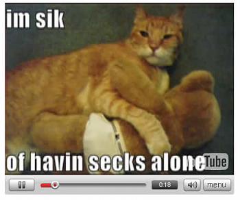 Funny stupid picture thread-lolcat_rock_music_video.jpg