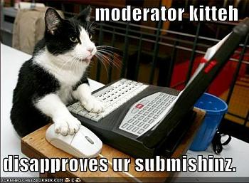 Funny stupid picture thread-lolcat-funny-picture-moderator1.jpg
