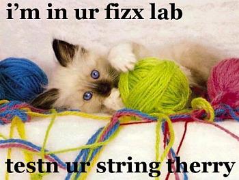 Funny stupid picture thread-lolcat-physicist.jpg