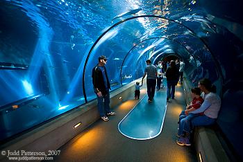 Please give me one good reason to visit Oregon-oregon-coast-aquarium-shark-exhibit-newport-.jpg