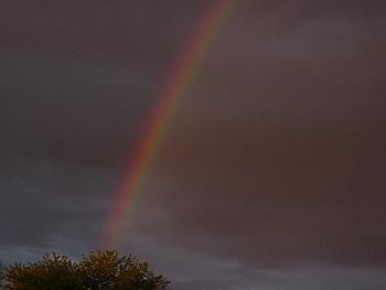 Rainbow Photography-dsc00391.jpg