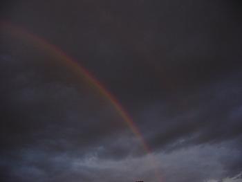 Rainbow Photography-dsc00388.jpg