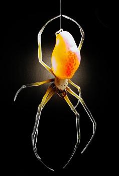 Lets look at some "butterflies" and other insects-orb-weaver-yel-redspot-clear.jpg
