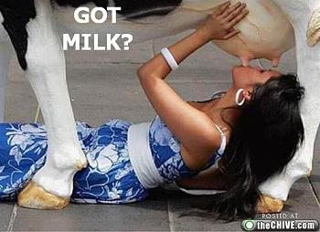 what attracts you more.-got-milk-lady.jpg
