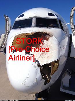 Reno Air Races-stork-struck.jpg