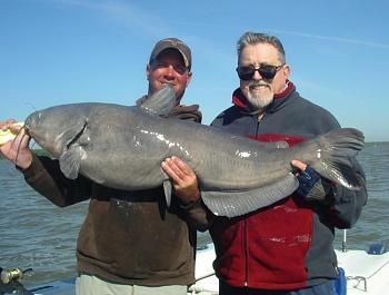 Blue catfish catch a Virginia record-imgp0490-2.jpg
