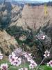 Near Melnik Town - almond trees are flowering