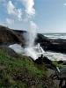Spouting Horn At Cape Perpetua 448440