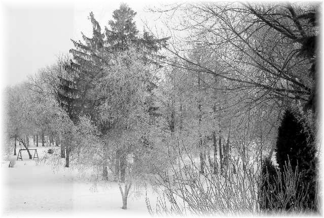 Winter In Wisconsin